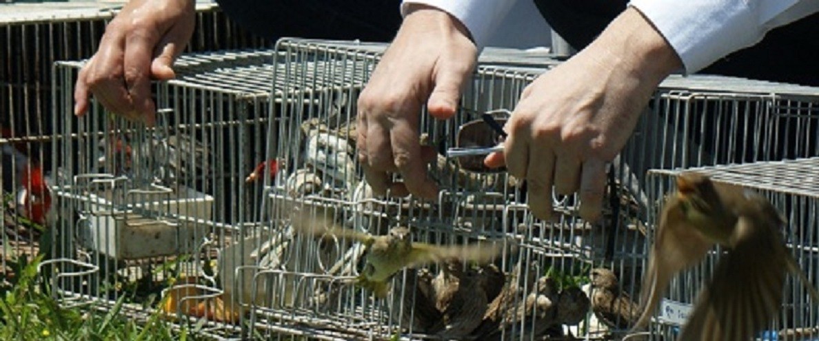 17 06 12 OP Fundación mendocina redobla acciones contra Facebook 1