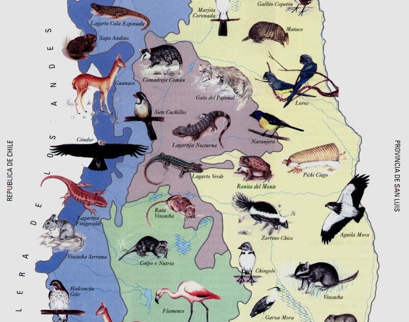 17 06 12 OP Fundación mendocina redobla acciones contra Facebook 4