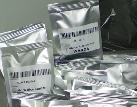 17 08 09 OP La caja fuerte más grande del mundo 5