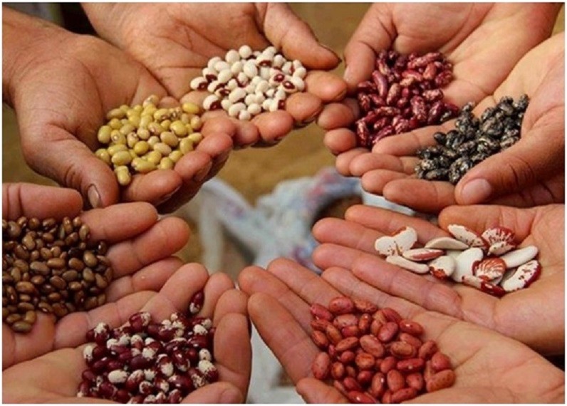 17 08 09 OP La caja fuerte más grande del mundo 6