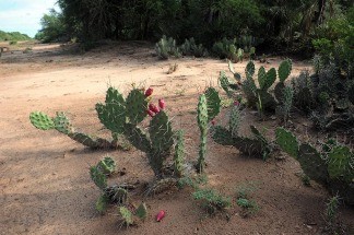 17 08 21 OP La Fidelidad 11