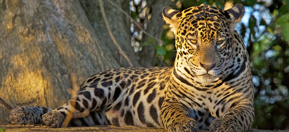 17 08 21 OP La Fidelidad 13