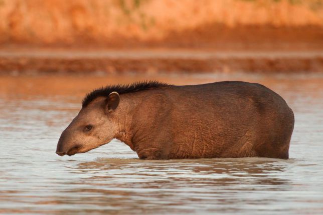 17 08 21 OP La Fidelidad 15