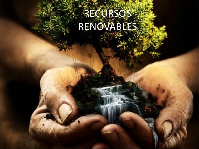 17 09 20 OP Asegura que hemos consumido los recursos naturales de todo el año 2017 2