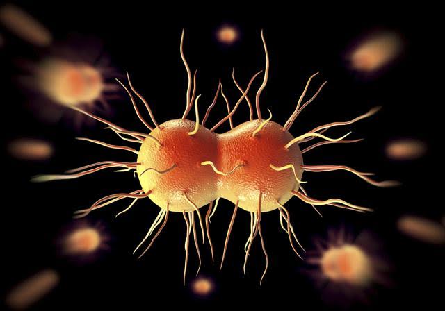 18 10 06 OP Las superbacterias más peligrosas del mundo 3