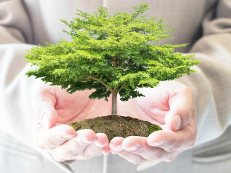 18 10 29 OP La protección del Medio Ambiente inscrita en el Derecho Canónico 2