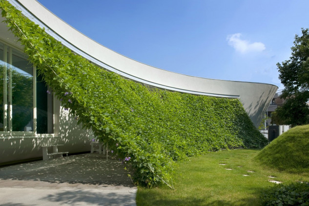 19 01 24 OP Crean la primera ciudad forestal del mundo 3 Cubiertos por una cortina de hiedra