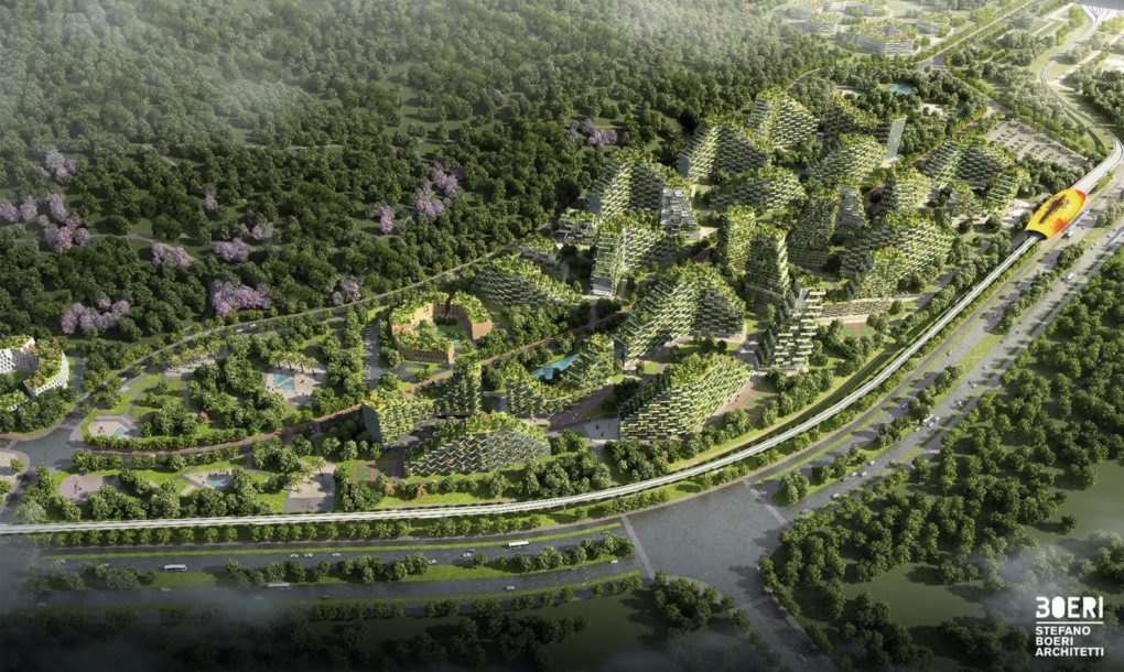 19 01 24 OP Crean la primera ciudad forestal del mundo 6
