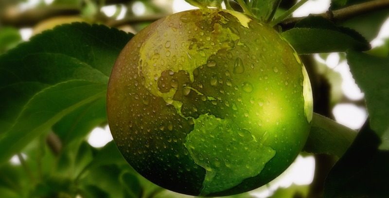 19 08 02 OP La meta era el 31 de diciembre pero agotamos el combustible el 29 de julio 2