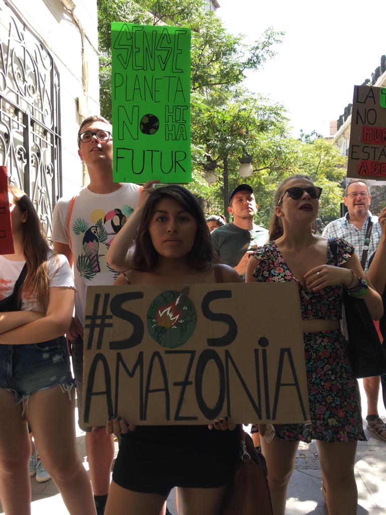 19 08 27 OP El mundo acusa a Bolsonaro por el incendio en el Amazonas 2 Brasil protestas por los incendios en la Amazonía.jpg