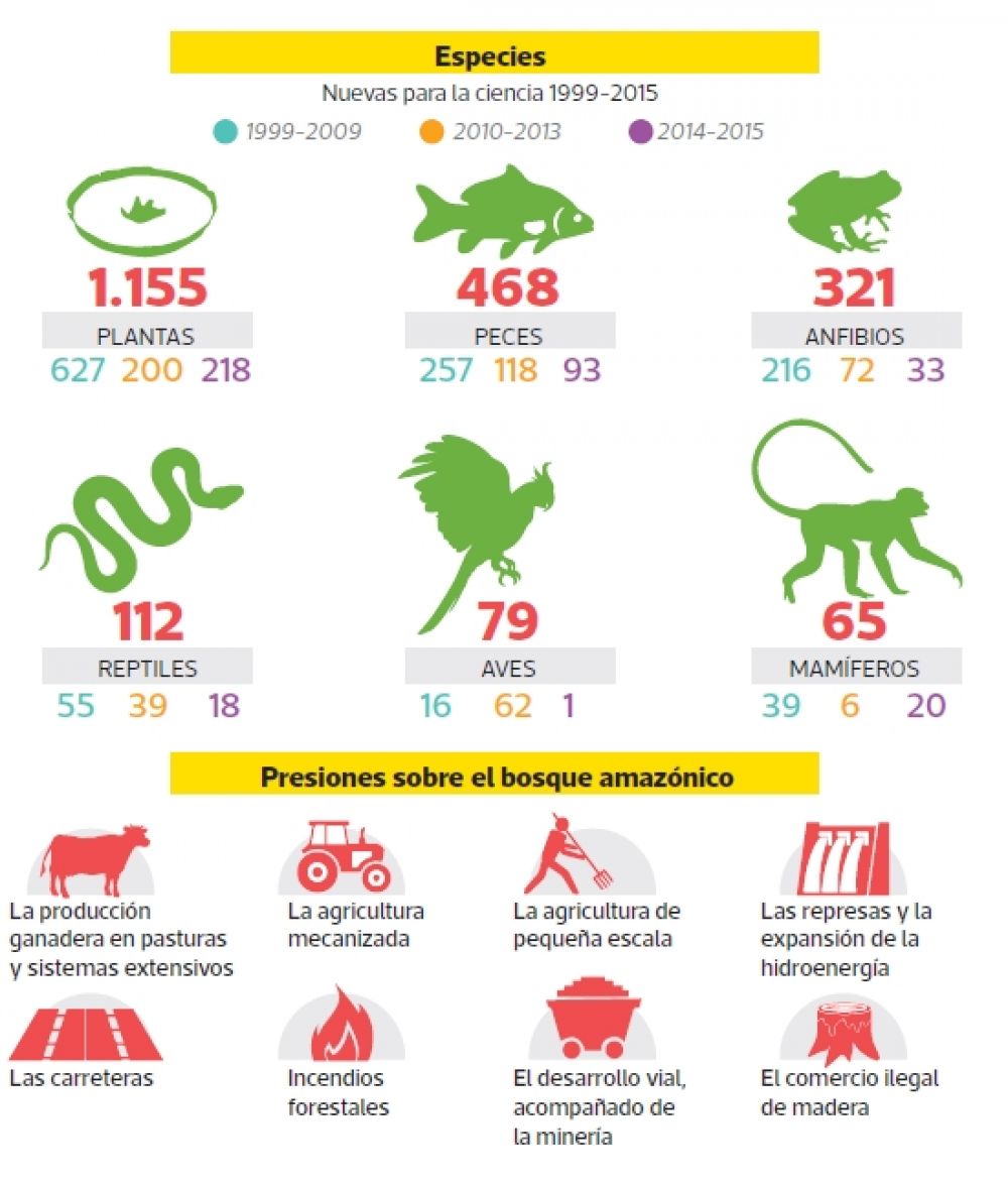 19 09 05 OP Se quema el Amazonas y emula a Nerón 2 Víctimas y causas