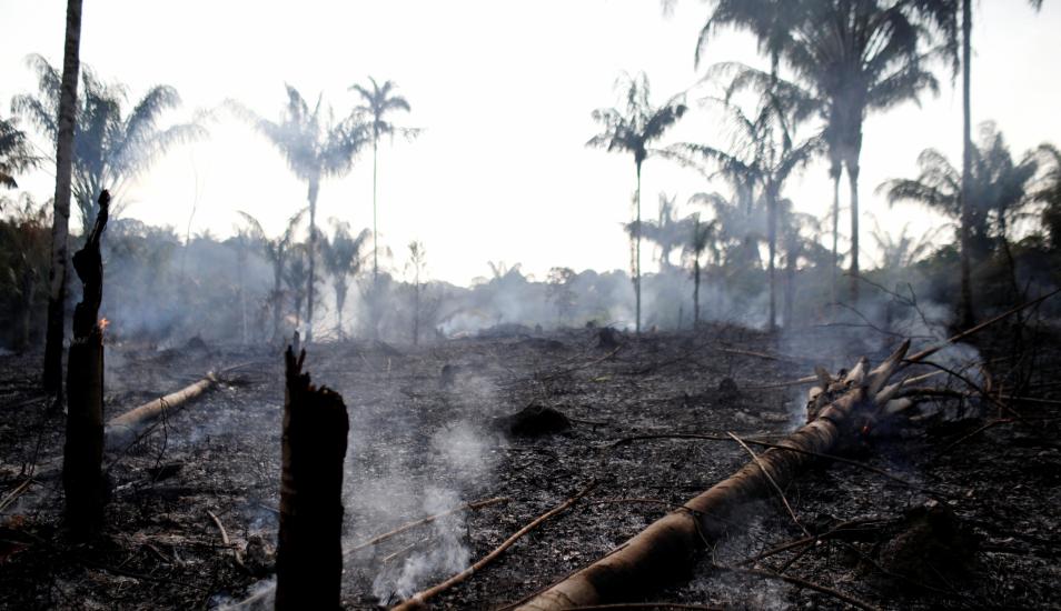 19 09 05 OP Se quema el Amazonas y emula a Nerón 3 Vista de lo que deja el fuego