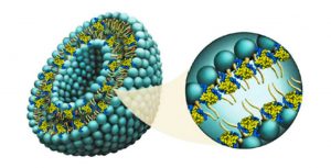 19 09 19 OP Un nuevo logro de la Universidad Nacional de Río IV 2 No destruye ni modifica