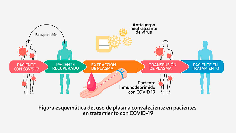 20 06 27 OP La necesaria donación de plasma de pacientes recuperados de Covid 19 1 Infografía plasma convaleciente