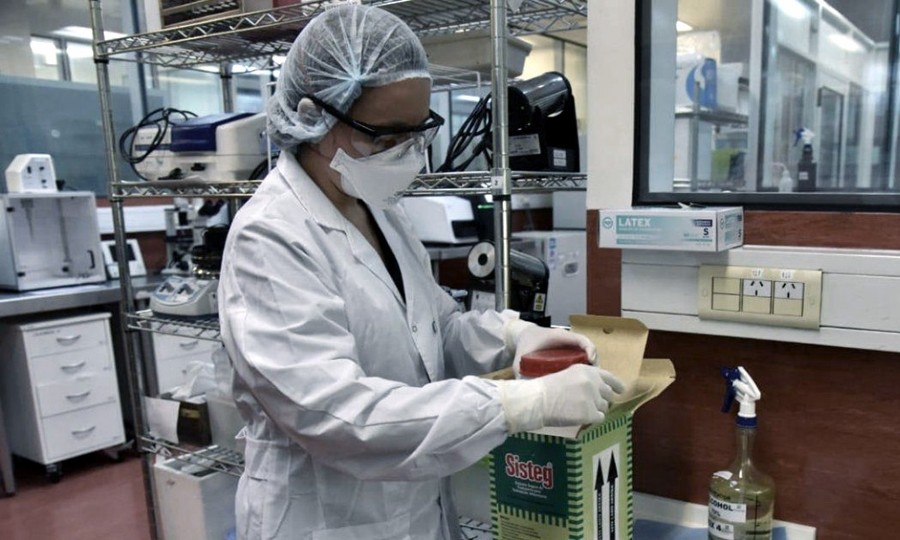 20 08 04 OP Suero equino desarrollado en la Argentina contra el Covid 19 2 Científica recibe suero para procesar