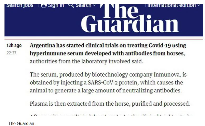 20 08 04 OP Suero equino desarrollado en la Argentina contra el Covid 19 3 Portada de The Guardian