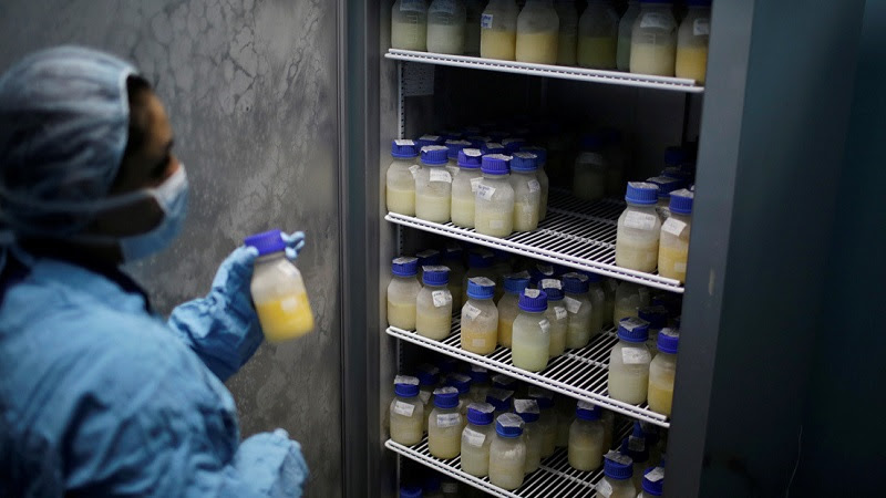 20 10 01 OP La leche materna destruye la mayoría de las cepas vivas de Covid 19 1 La leche materna destruye la mayoría de bacterias y virus