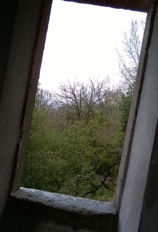 21 11 04 PGD Bomarzo el laberinto inquietante 2