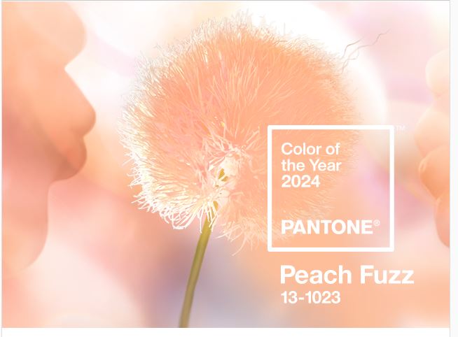 24 01 07 DM El durazno del postre 2 Pantone 2024